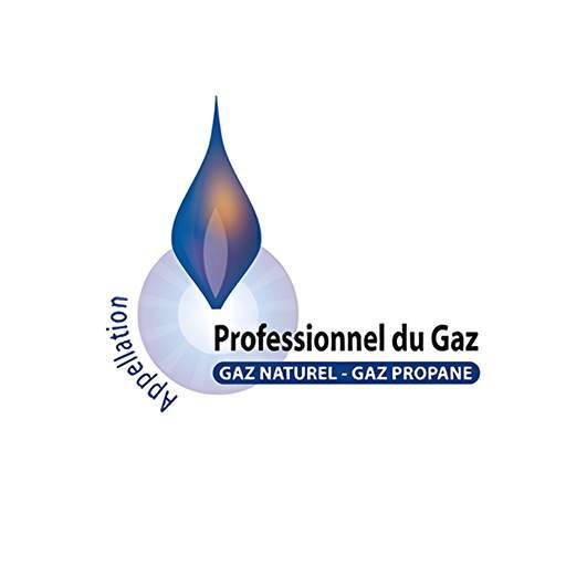 Logo Professionnel de Gaz